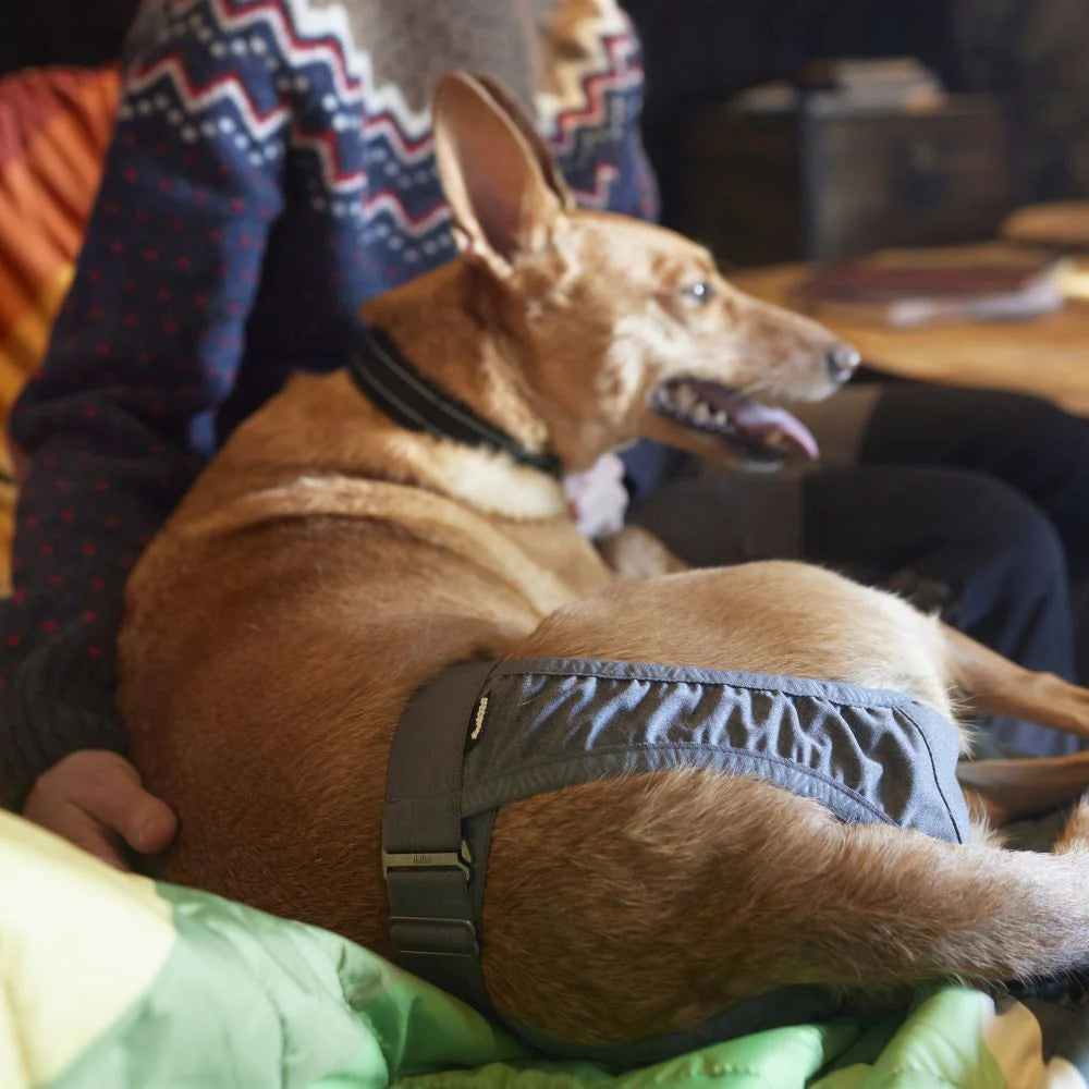 Hurtta Breezy hygien pants ECO