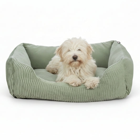 Hund som vilar i Trixie Marley hundbädd i grön – mjuk och rymlig säng