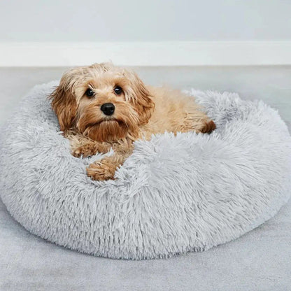 Liten hund ligger avslappnat i ljusgrå WiggleBed hundbädd