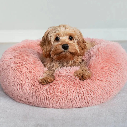 Liten hund vilar lugnt i rosa WiggleBed hundbädd med upphöjda kanter