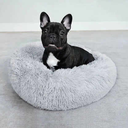 Fransk bulldog ligger bekvämt i ljusgrå WiggleBed hundbädd